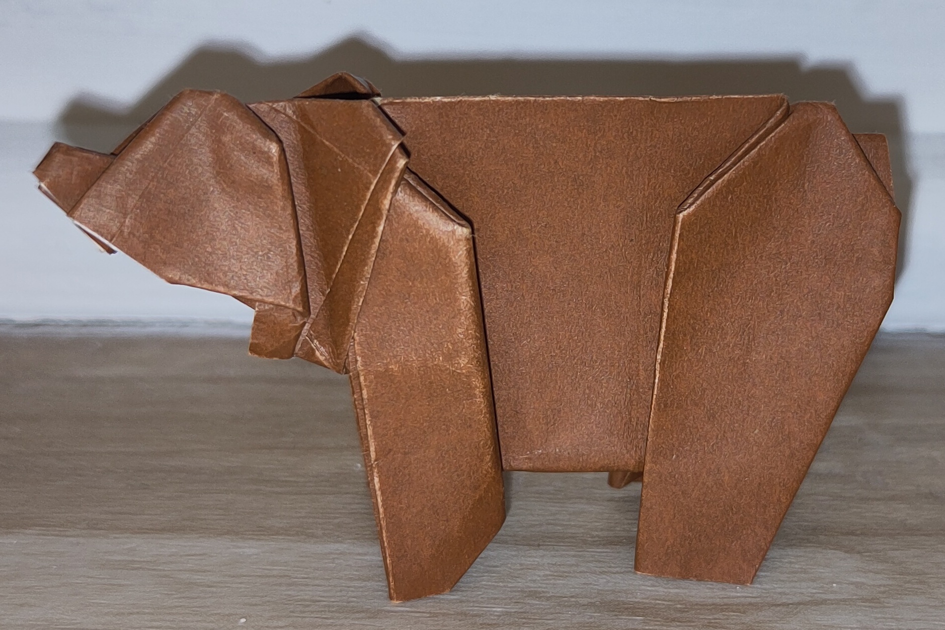 Bear